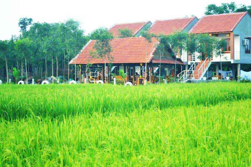 sy-s-homestay (6)