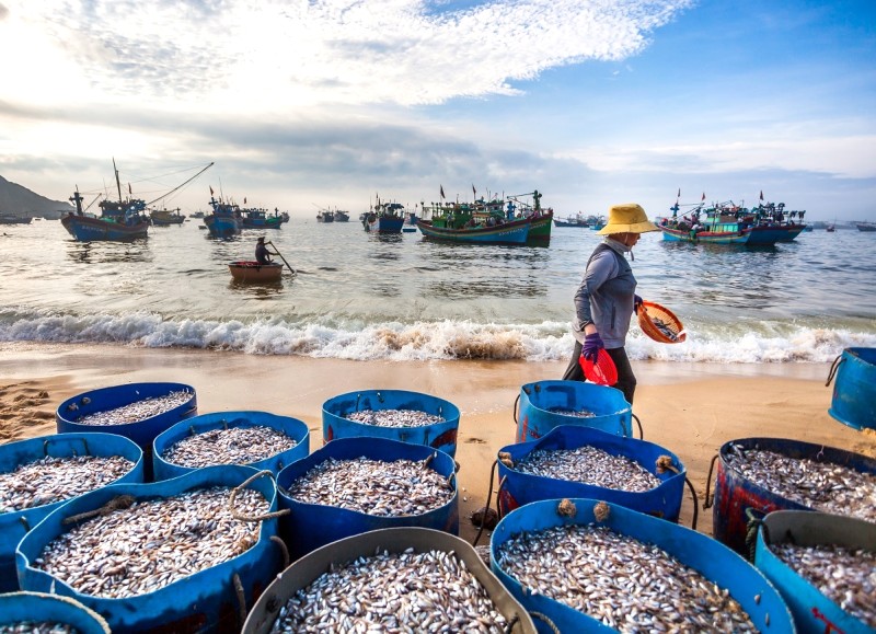 Bảo Ninh: Viên ngọc của Đồng Hới