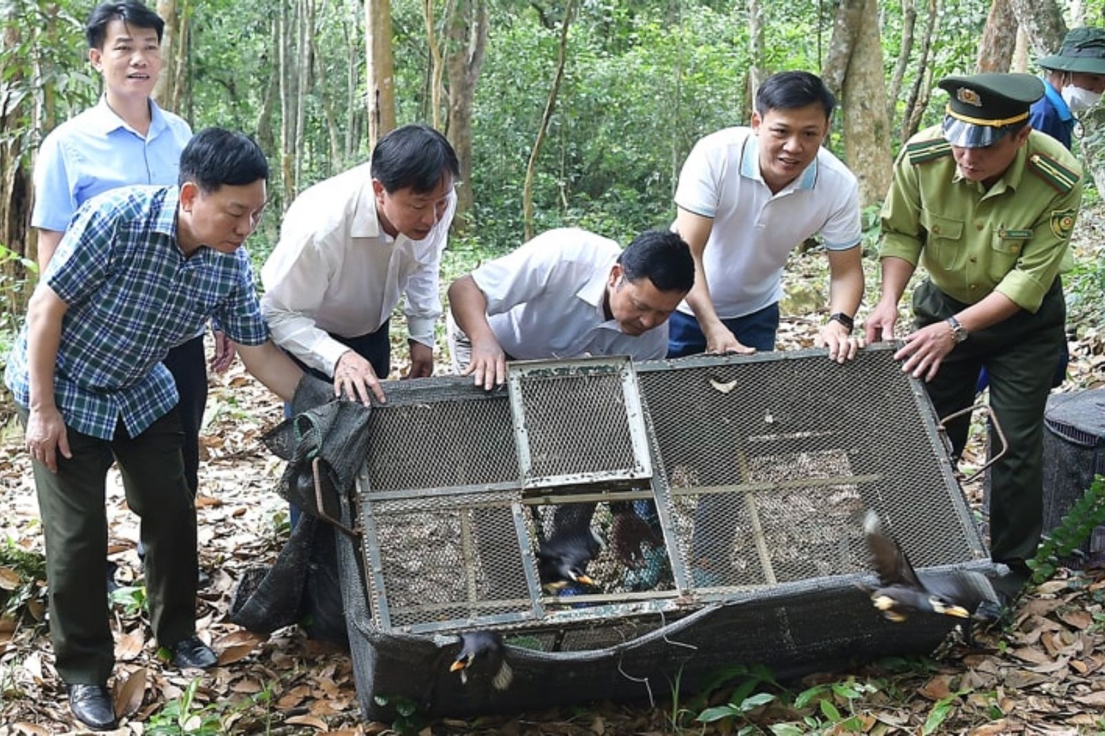 Khám phá hệ sinh thái độc đáo trong Động Thiên Đường - Quảng Bình 12 Hoạt động cứu hộ bảo tồn động thực vật hoang dã