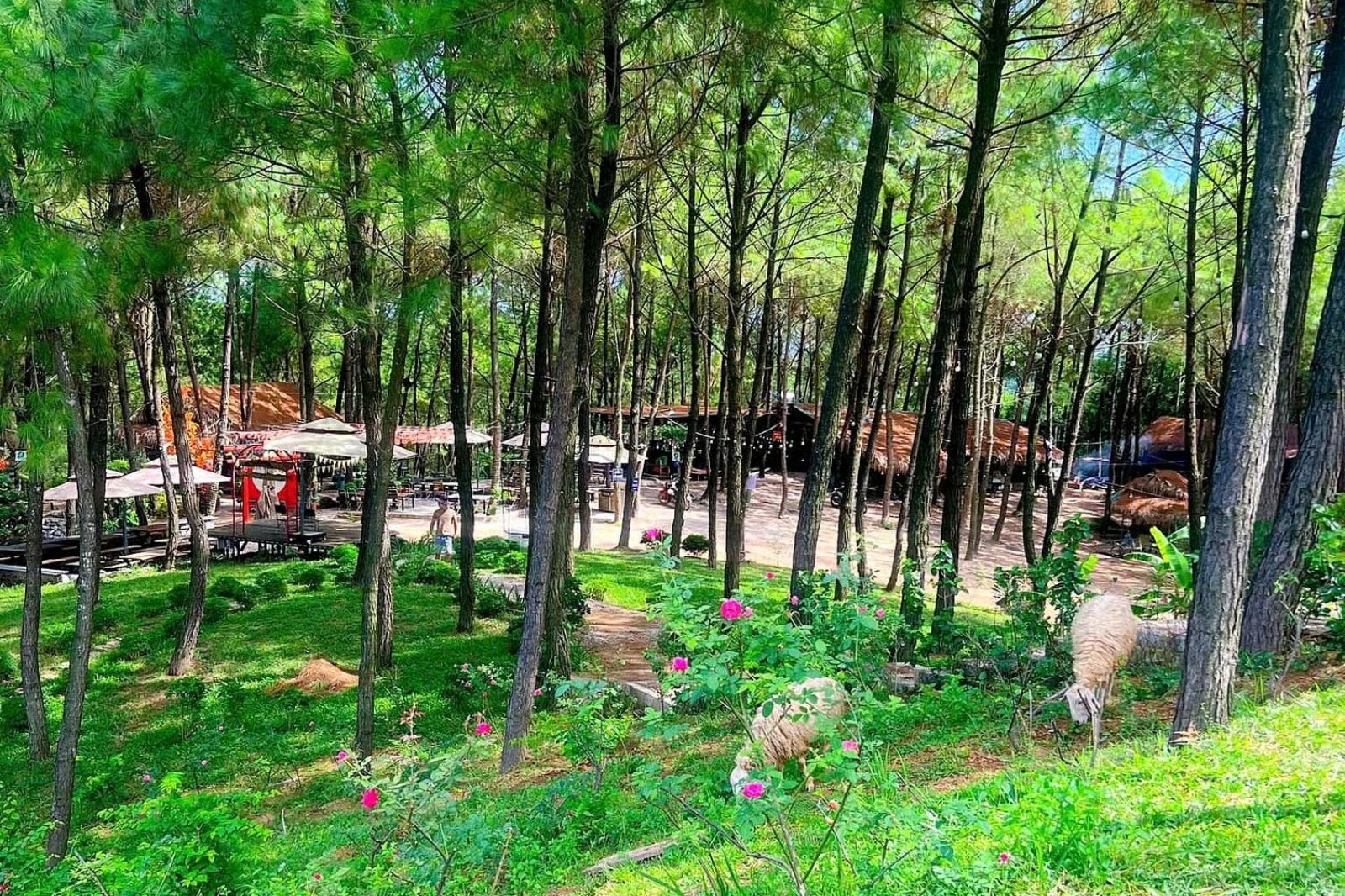 Doi-may-dang-quang-binh